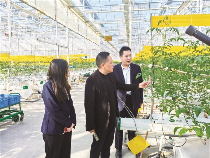 dd1828ef-2fb7-4222-b209-7b92a3e2bee0 dd1828ef-2fb7-4222-b209-7b92a3e2bee0